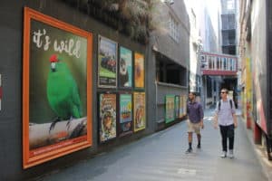wellington area manager out of home advertising street posters